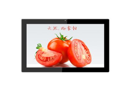 21.5 inch stand-alone version advertising display_V2151